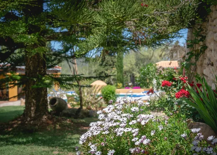 Hébergement de vacances Joan Vich I Santa Eulària des Riu