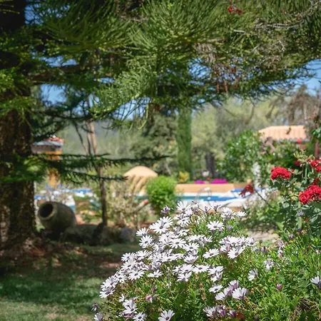 Nyaraló Joan Vich I Santa Eularia des Riu