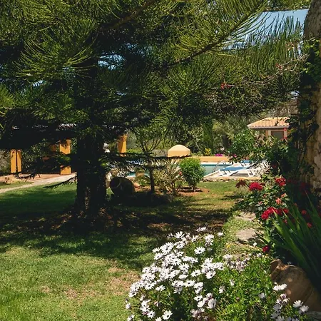 Joan Vich I * Santa Eularia des Riu