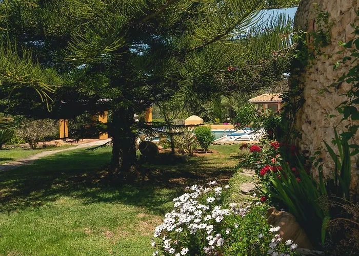 Joan Vich I * Santa Eulària des Riu