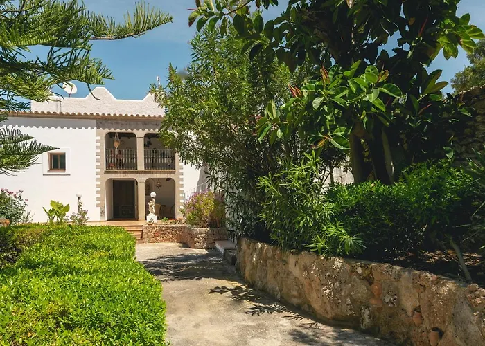 Joan Vich I סנטה אאולריה דס ריו